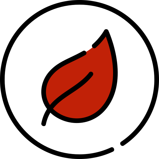 A picture of red leaf