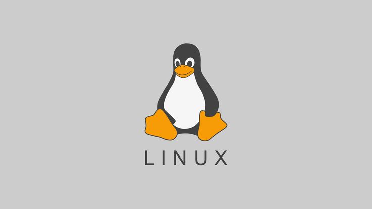 A picture of linux logo