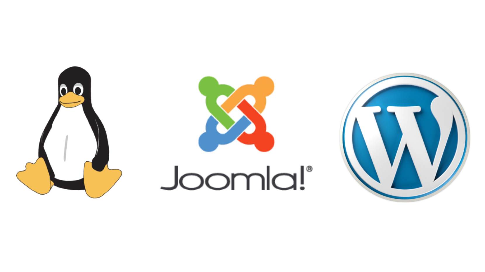 A picture of display linux joomla and wordpress
