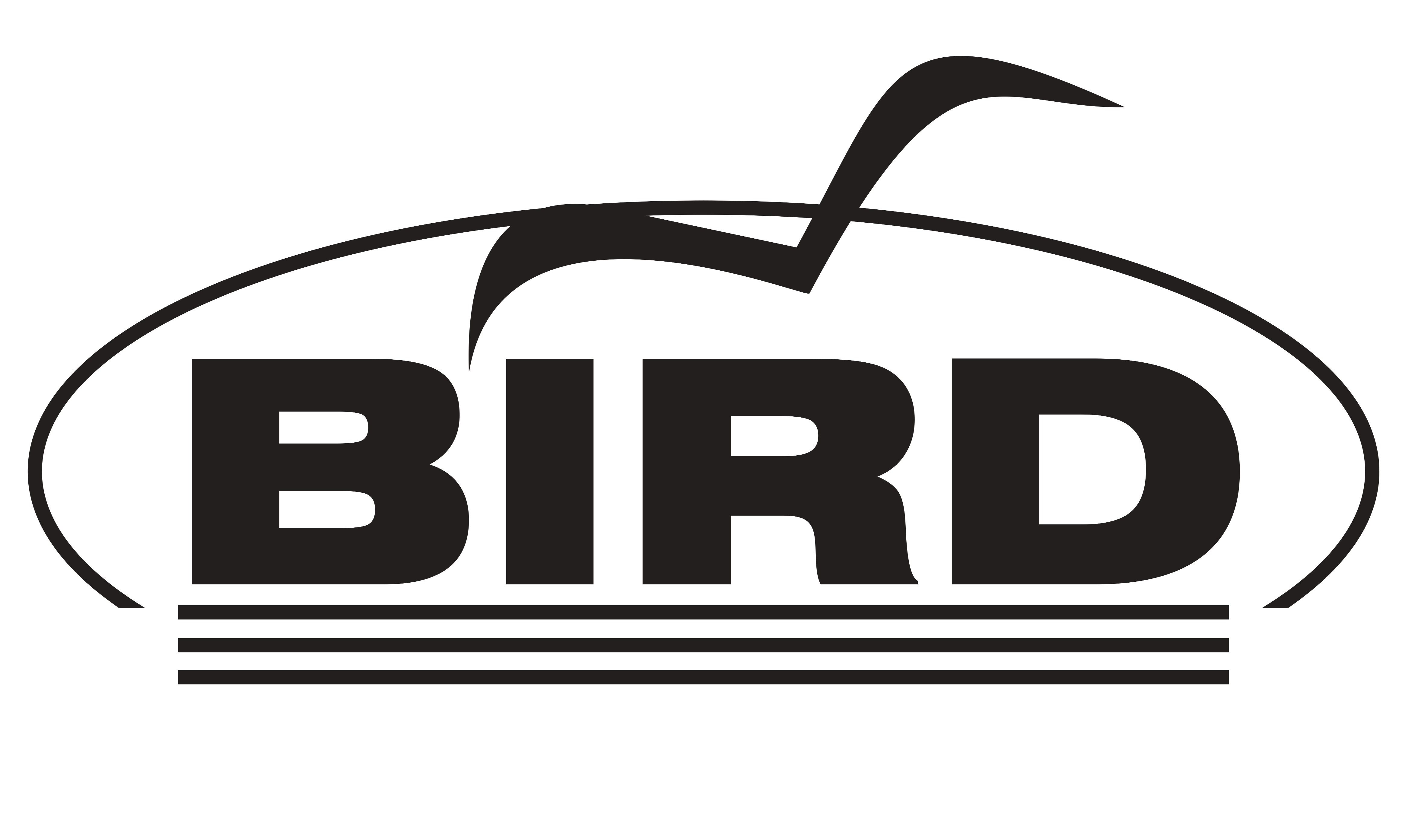 BIRD BGP Routing